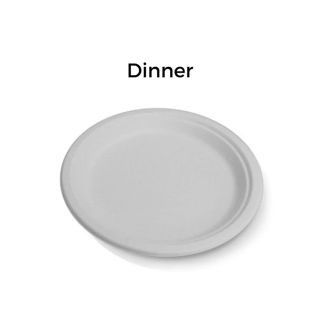 Plain white disposable dinner plate for catering and party supplies