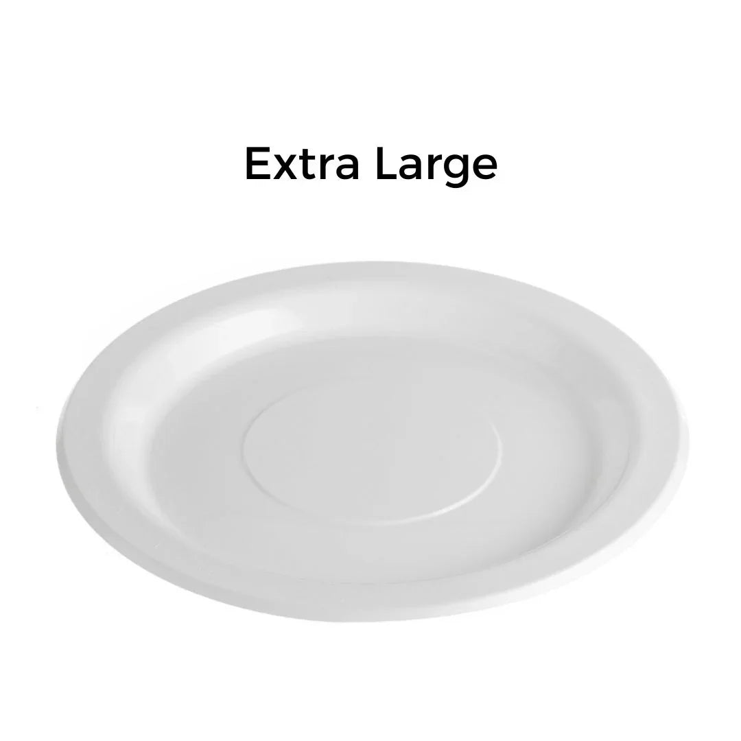 Extra large white disposable catering plate on a white background