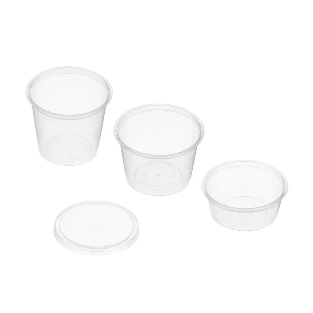 Clear plastic disposable containers and lid for food packaging